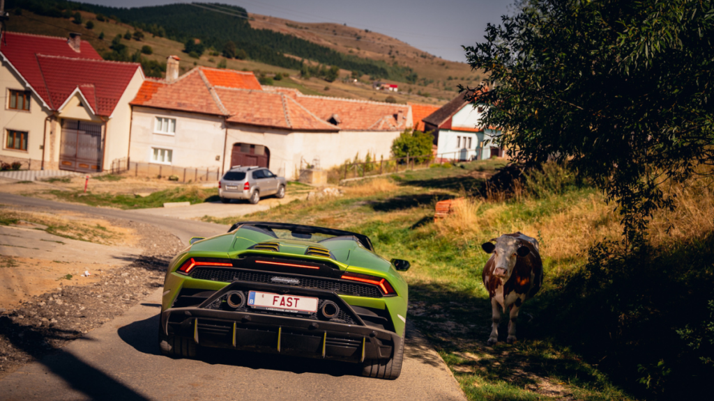 Supercars en wilde dieren