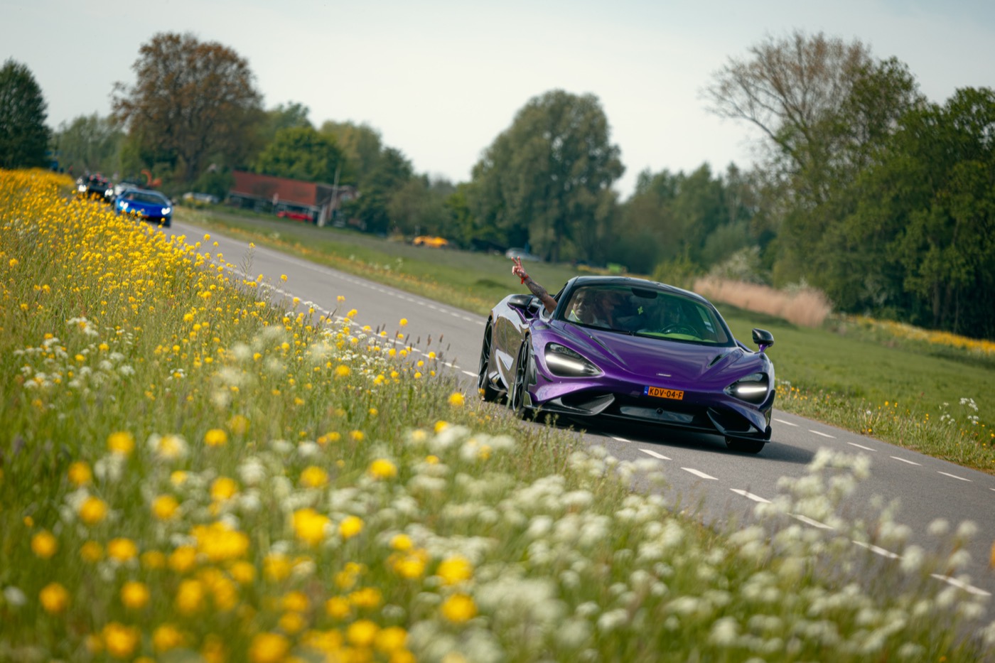 Supercar passeert een veld met wilde bloemen onderweg.